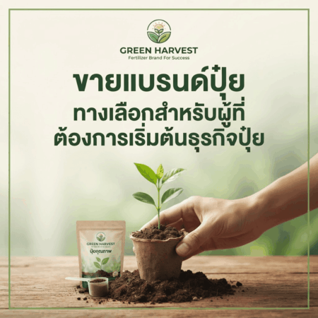 ขายแบรนด์ปุ๋ย ทางเลือกสำหรับผู้ที่ต้องการเริ่มต้นธุรกิจปุ๋ย